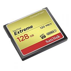 SDCFXPS-064G-X46